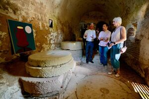 El Molino del Algarrobo, en pleno Monumento Natural Riberas del Guadaíra, se estrena como escenario para exposiciones