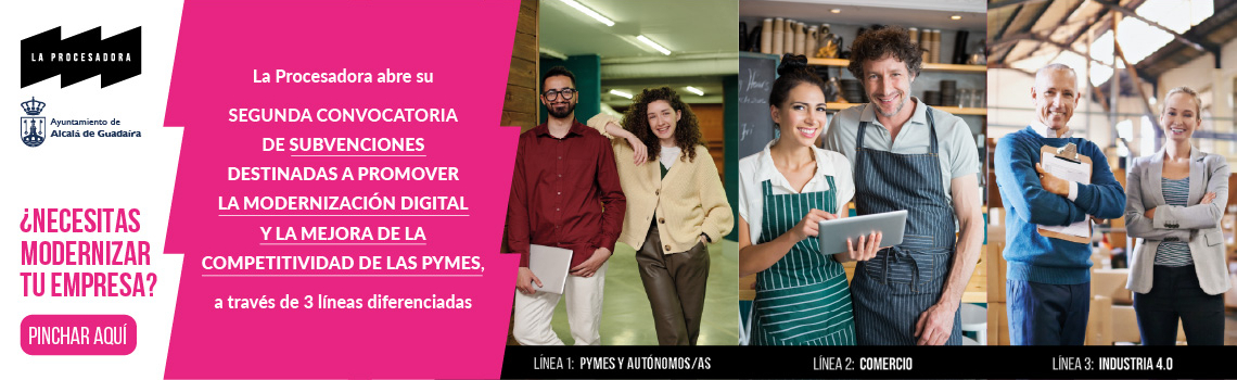 2ª convocatoria Subvenciones modernización digital y mejora de la competitividad